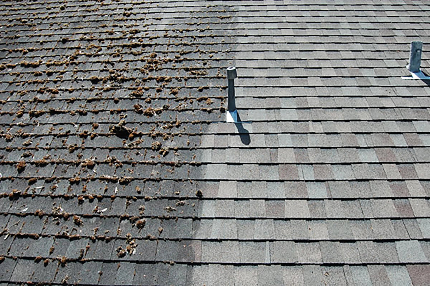 Roof Washing