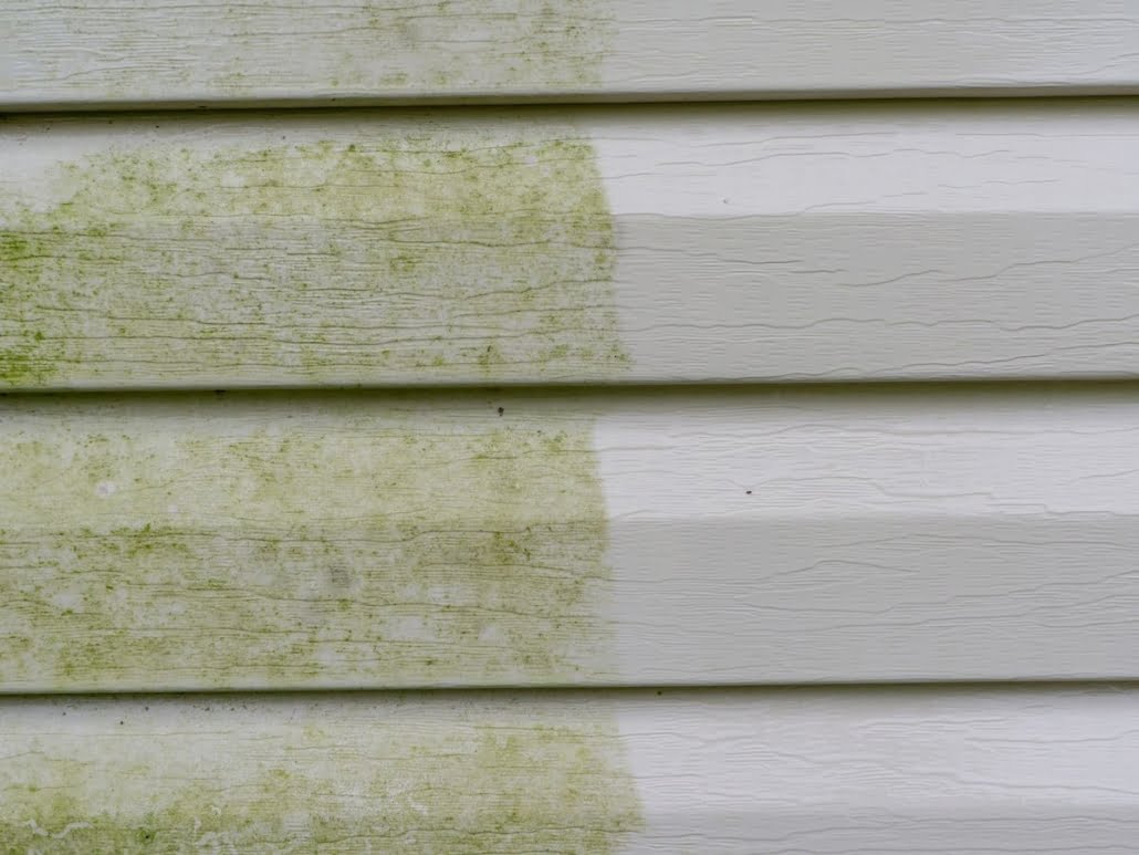 Vinyl Siding Cleaning